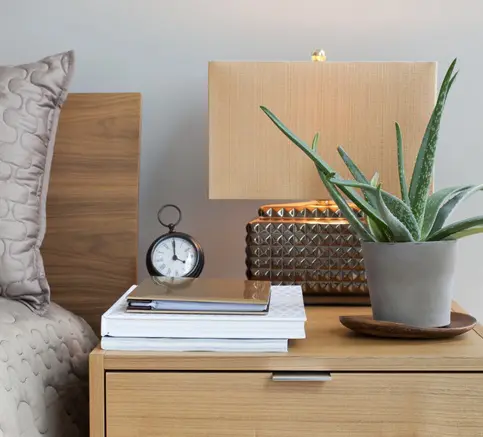 mesa de cabeceira com um vaso de planta um abajur e alguns livros empilhados com um relogio despertador em cima